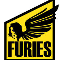 Minsk Furies