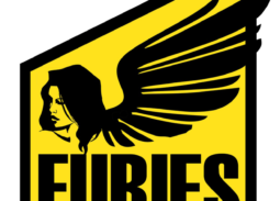 Minsk Furies